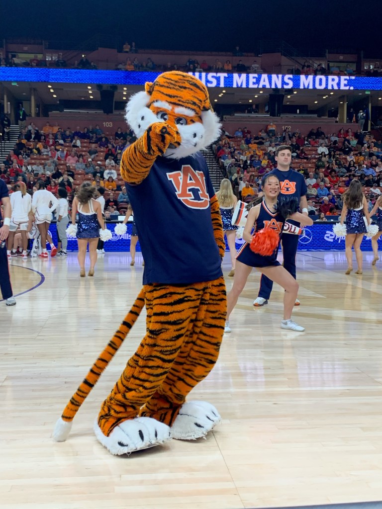 Aubie the Tiger points at the camera.