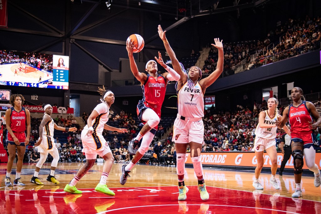 Washington Mystics guard <a rel=