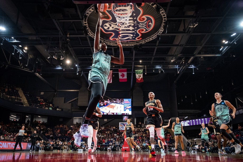 New York Liberty forward <a rel=