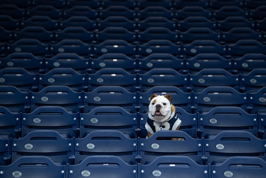 Butler Blue IV, Butler's mascot, goes on injured list | The IX Basketball