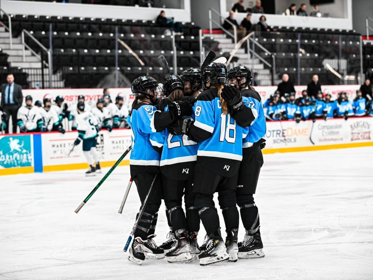 PWHL Toronto celebrates a goal against PWHL New York