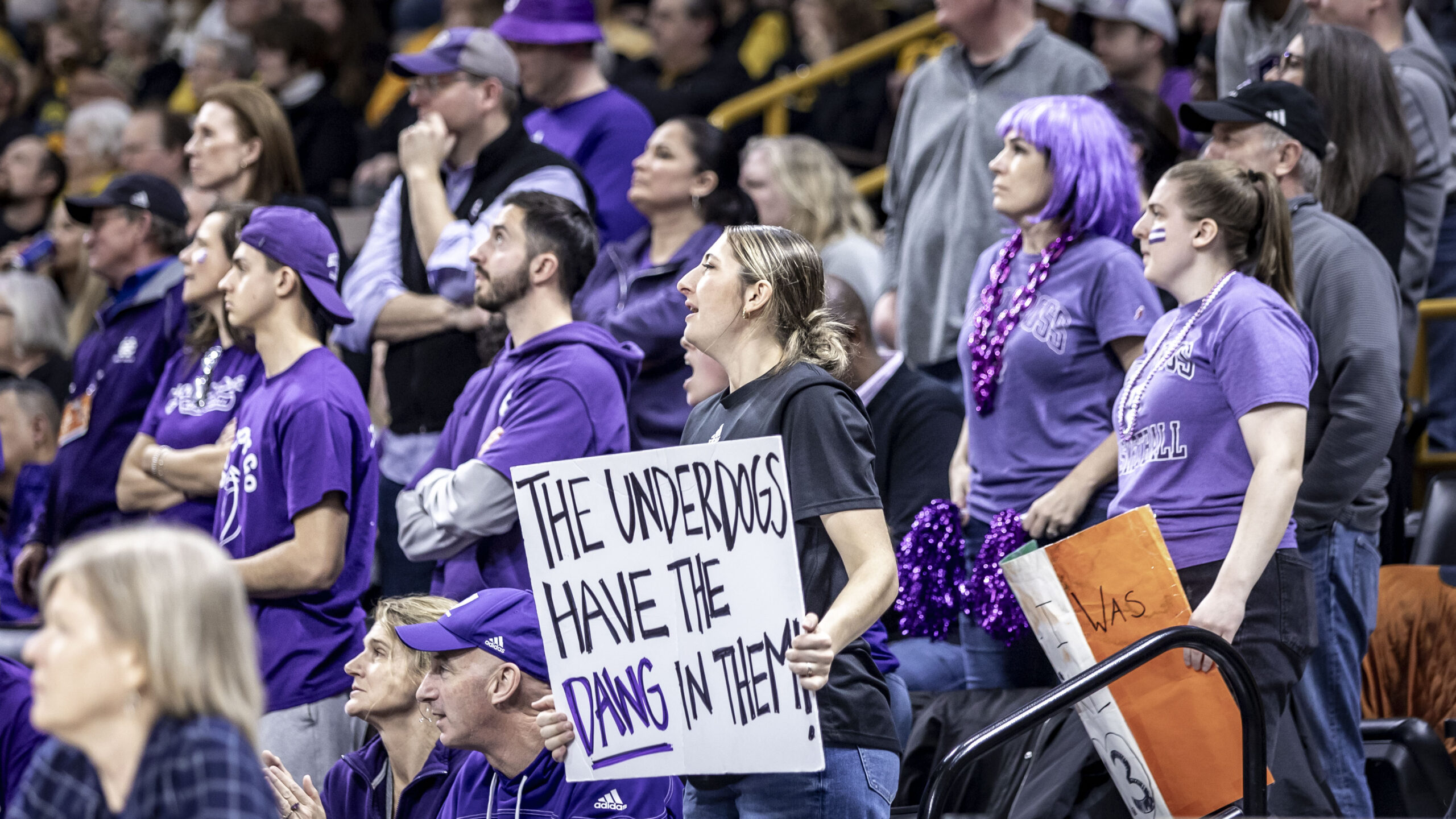 Holy Cross fans wearing purple in the stands