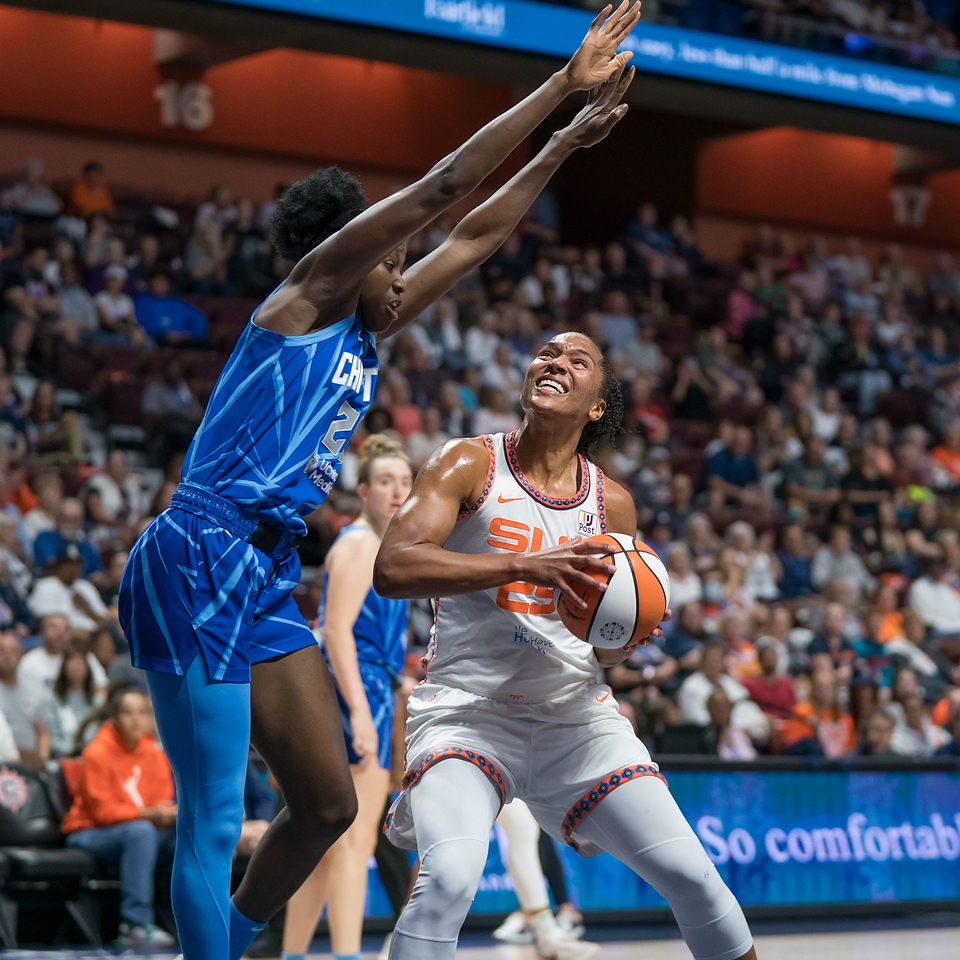 Chicago Sky forward <a rel=