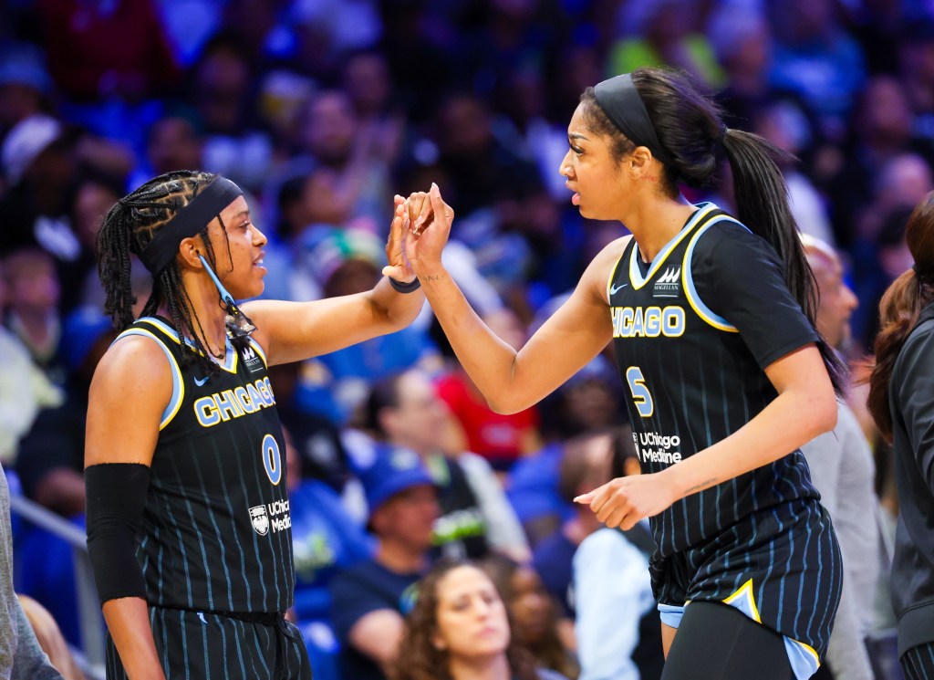 Chicago Sky players <a rel=