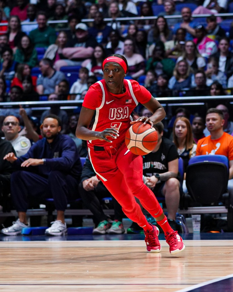 Team USA wing <a rel=