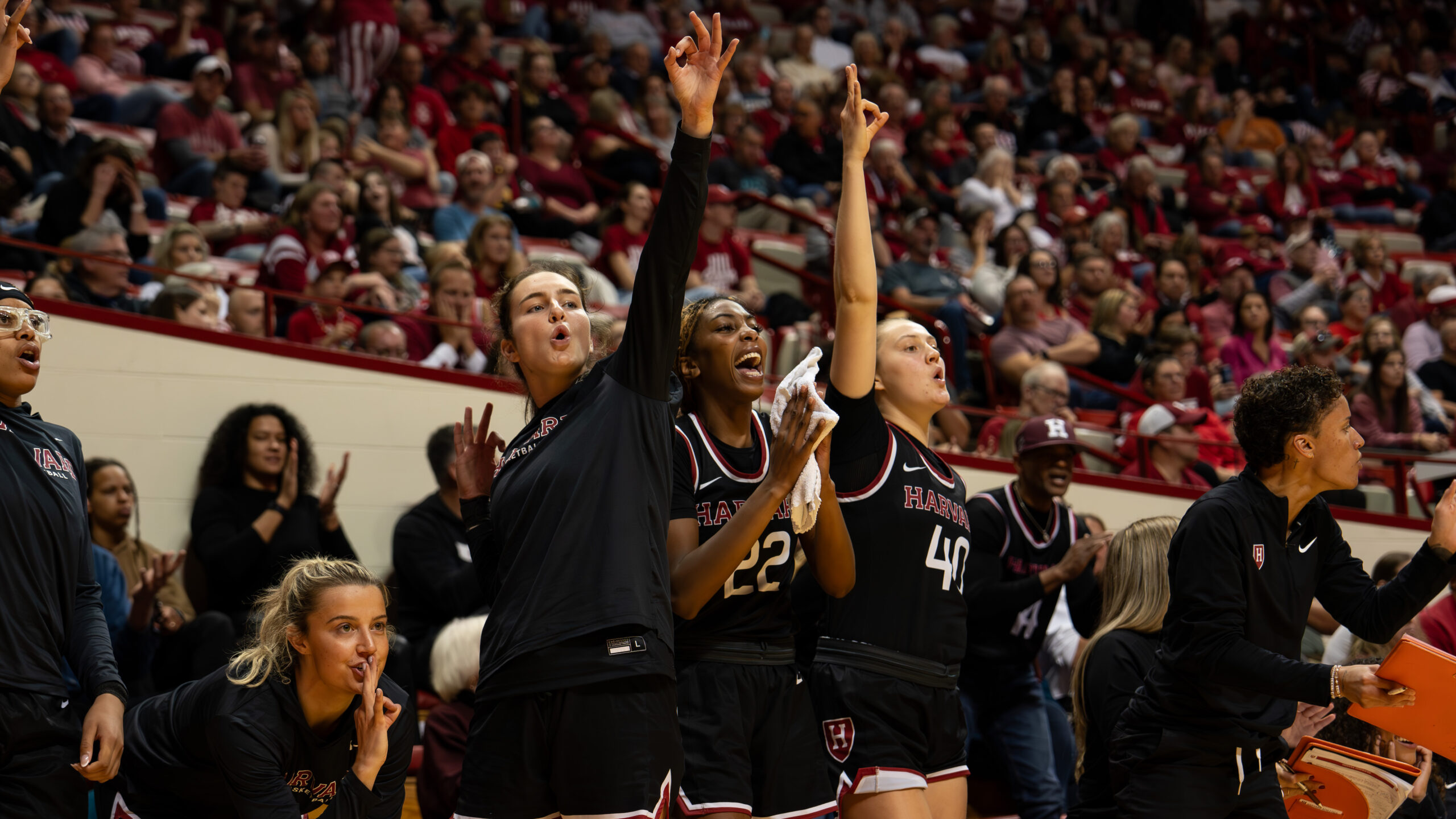 Mary Hollensteiner and Abigail Wright stand up on the Harvard bench and each hold one hand up, making the 3-point sign. Teammate Saniyah Glenn-Bello is in between them, standing and clapping.