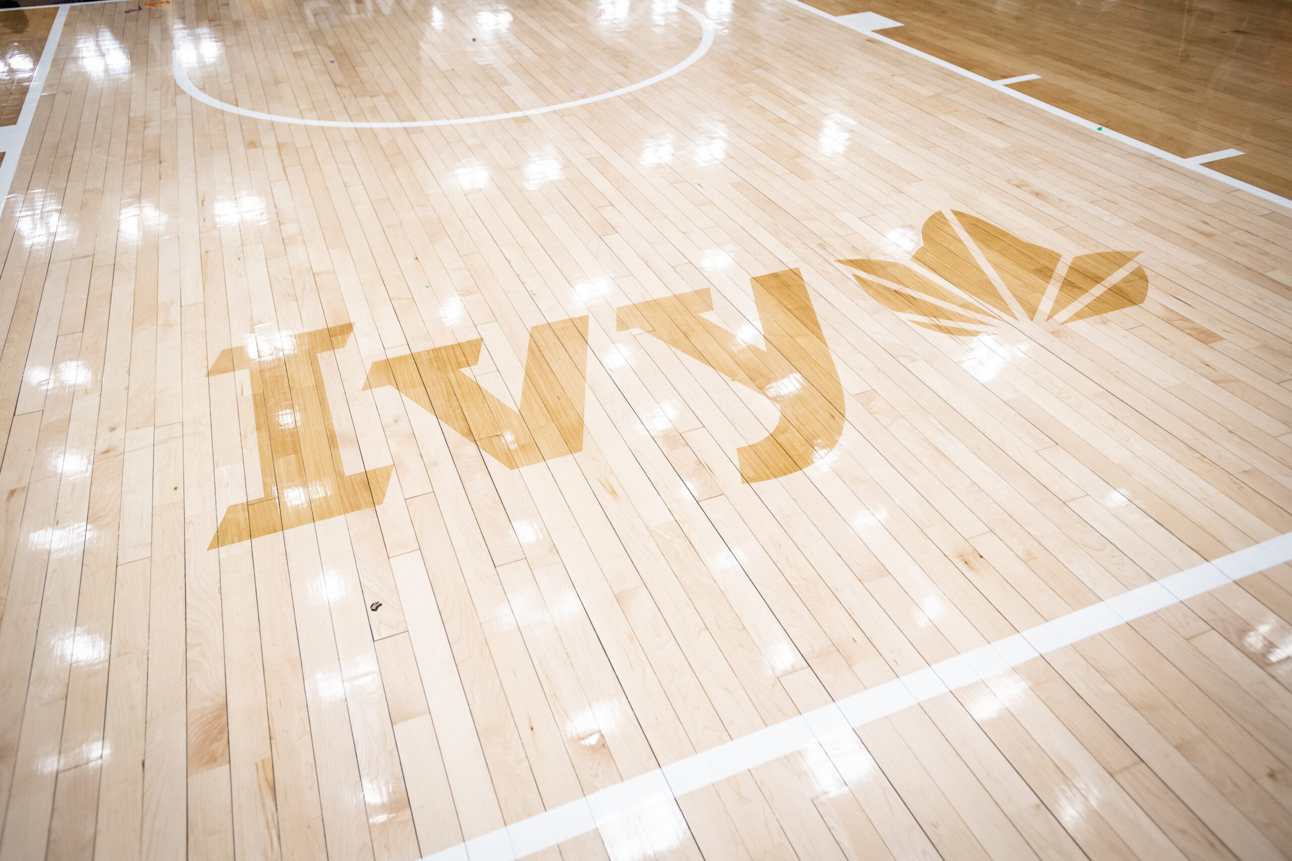 The word "Ivy" and a leaf are stained a darker brown on a pale wood court.