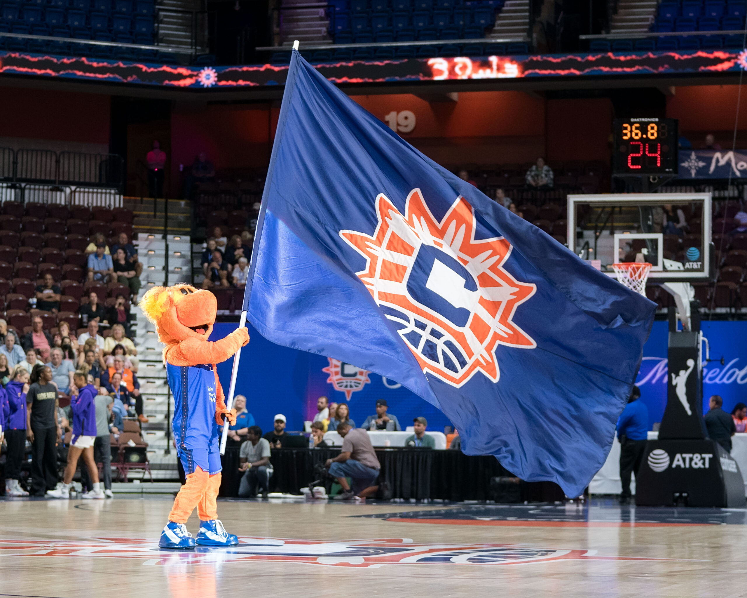 Blaze, the Connecticut Sun mascot, waves a dark blue flag with the Sun's orange logo in the air.