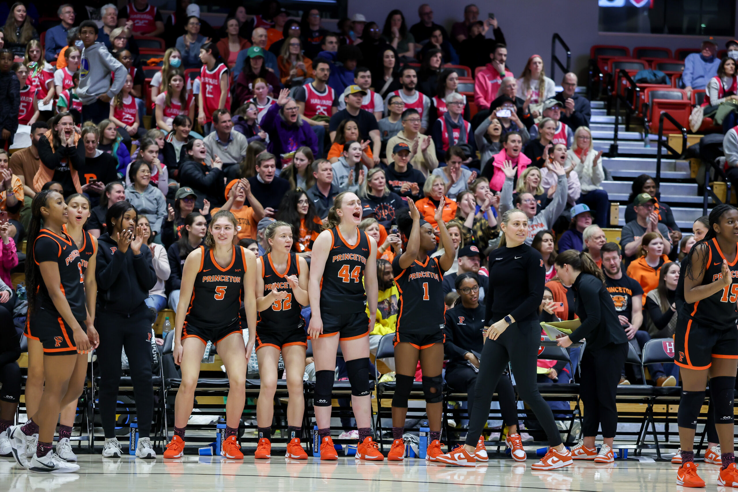 Princeton players on the bench rise to their feet and several clap their hands in response to a play during a game against Harvard. Head coach Carla Berube walks down the sideline, looking over her shoulder at the action on the court.