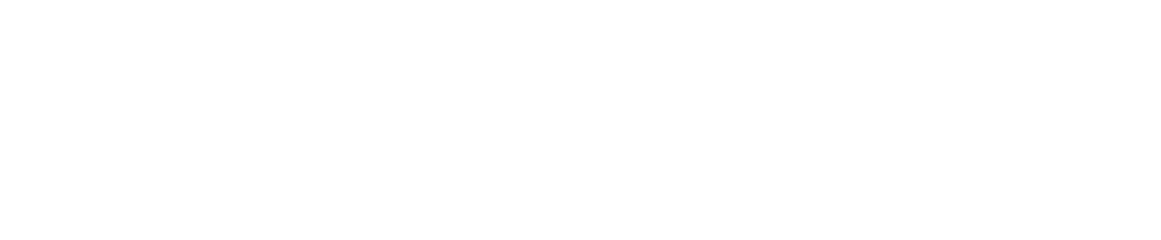 The IX Sports