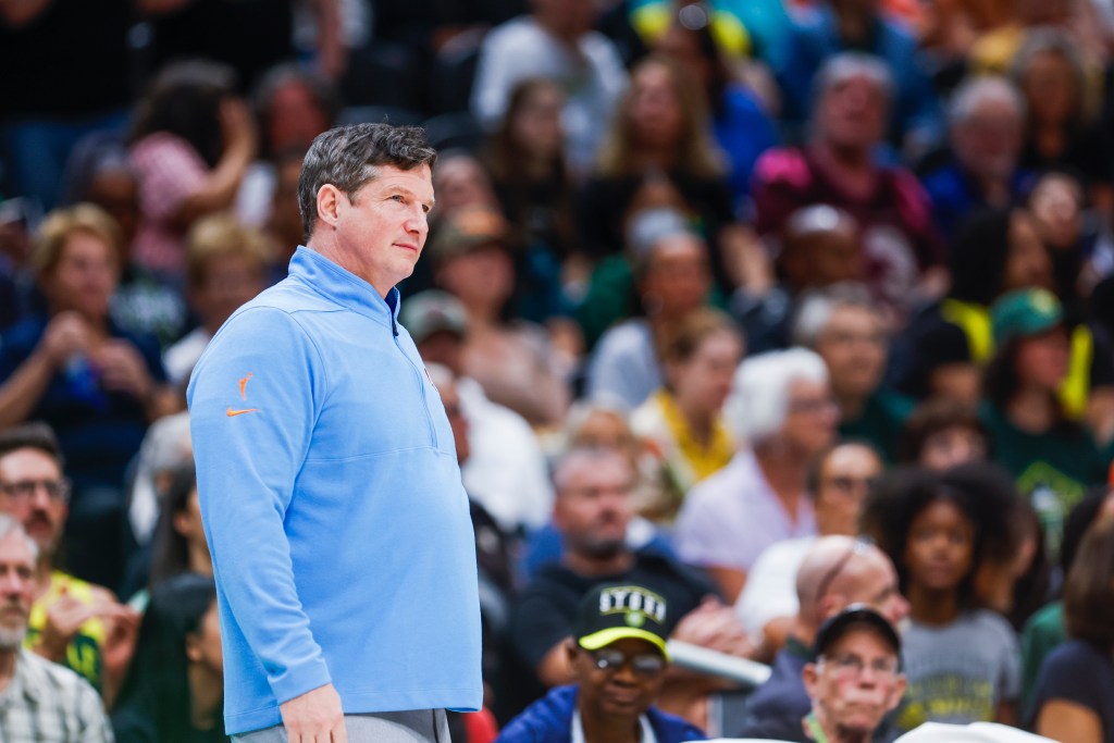 Karl Smesko stands in a blue shirt on the sidelines during an atlanta dream game