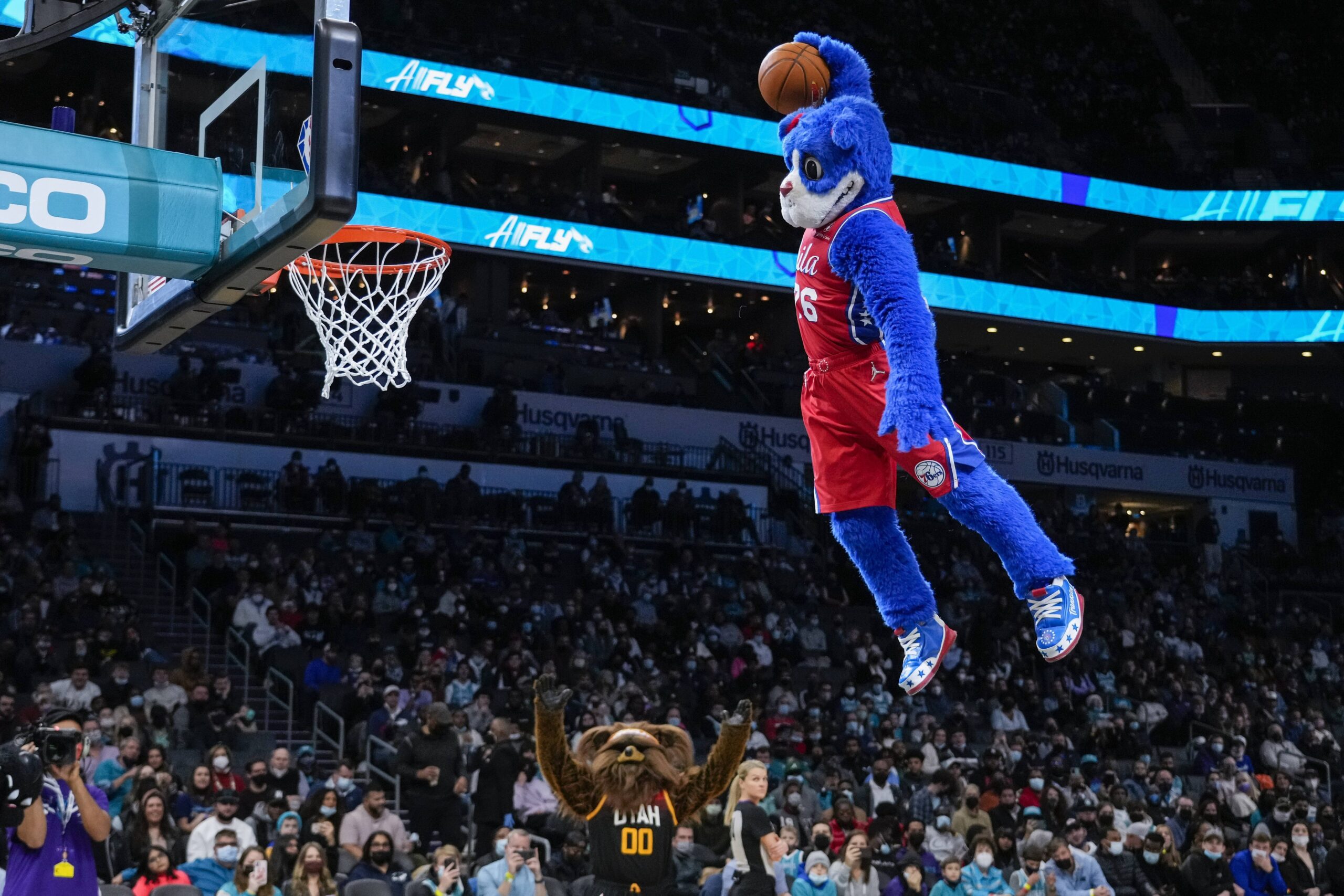 Franklin the Dog defies gravity.