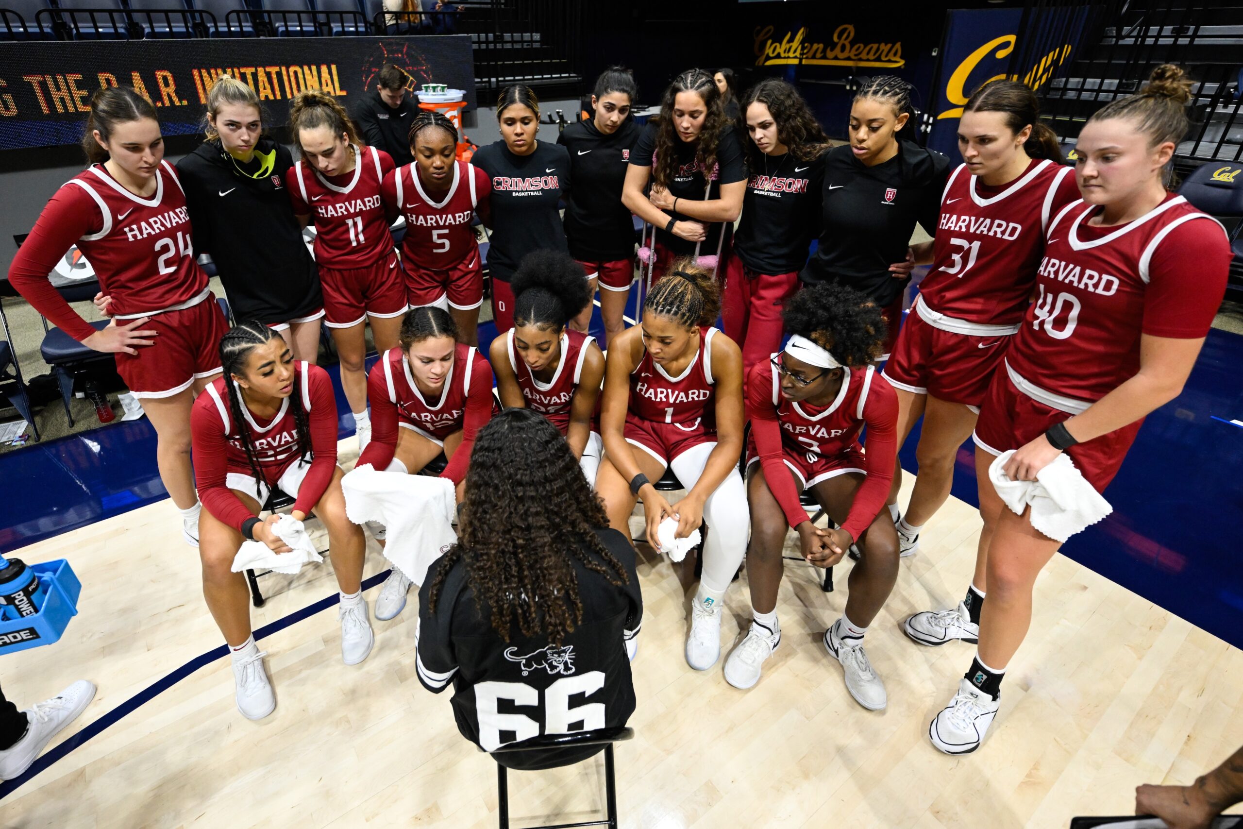 Harvard head coach Carrie Moore sits in a chair facing away from the camera during a timeout. The five players who are in the game sit facing her, and the other players stand behind them.