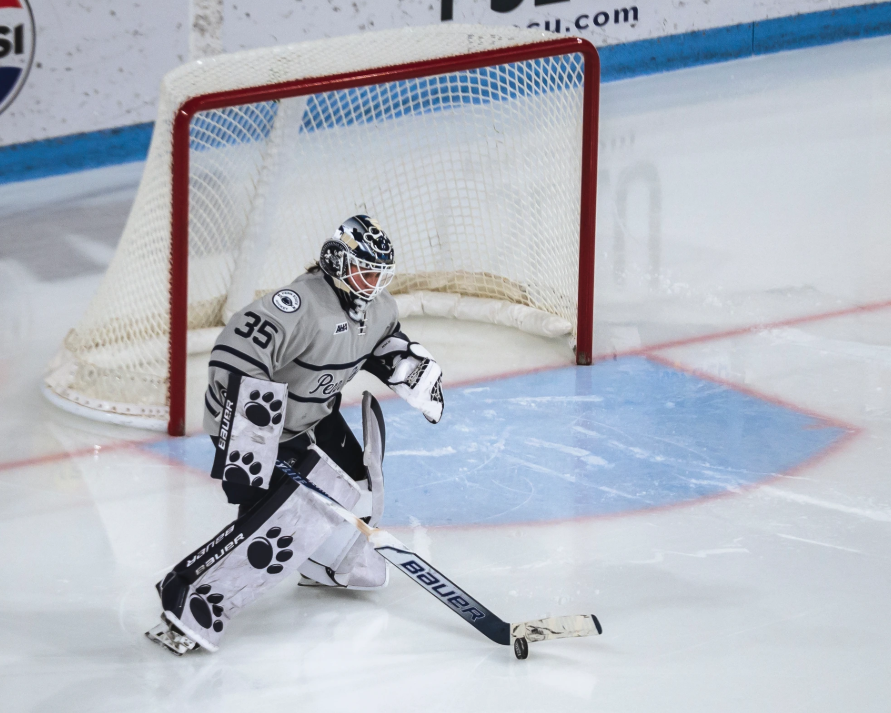 Katie DeSa controls the puck in front of her goal.