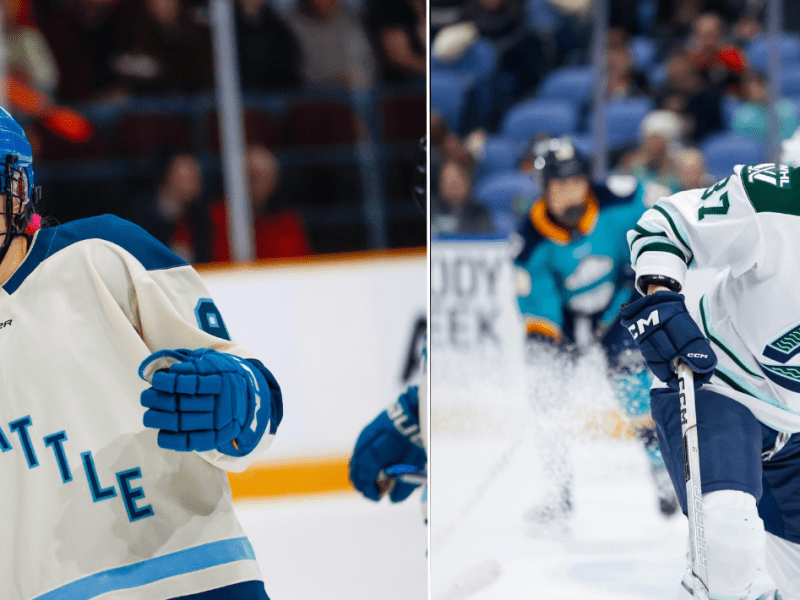 Fleet Acquire Jessie Eldridge From Torrent for Theresa Schafzahl