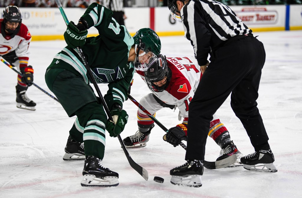 Tapani and Hughes prepare for a faceoff. Tapani is wearing a green home uniform, while Hughes is in a white away one.