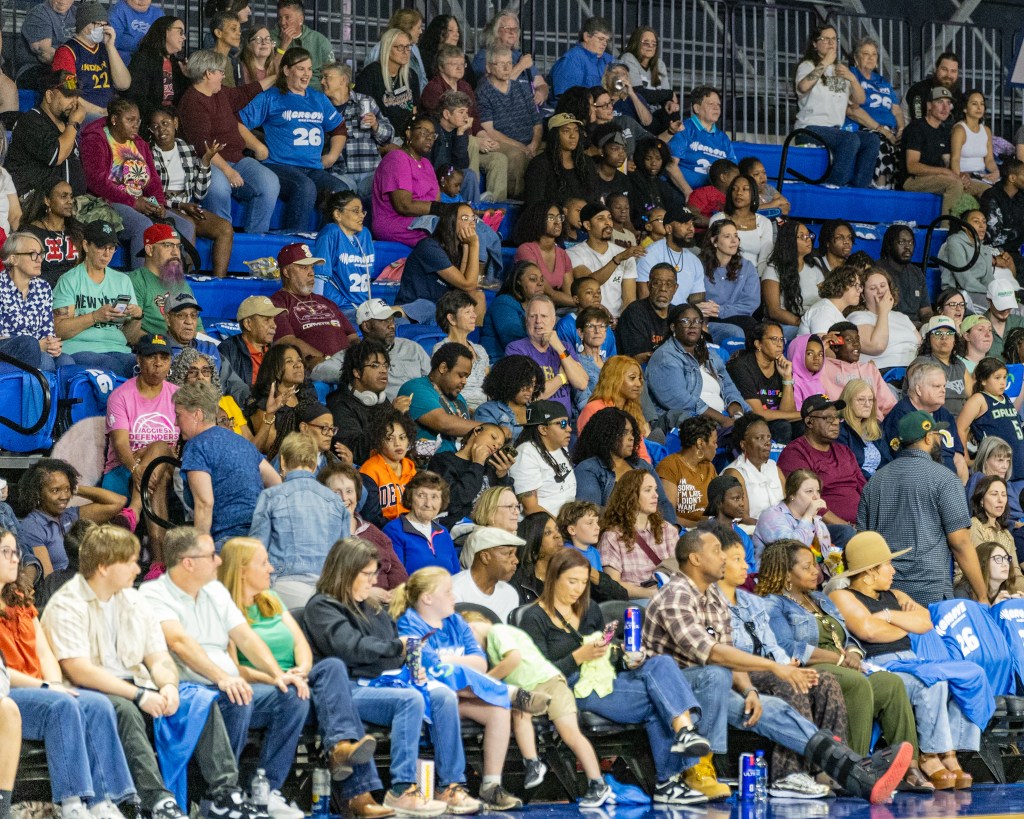 Crowd cheering a a game