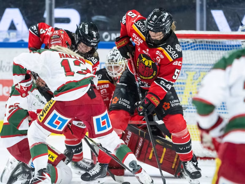 SDHL 2026 Offseason Recap: Part Two