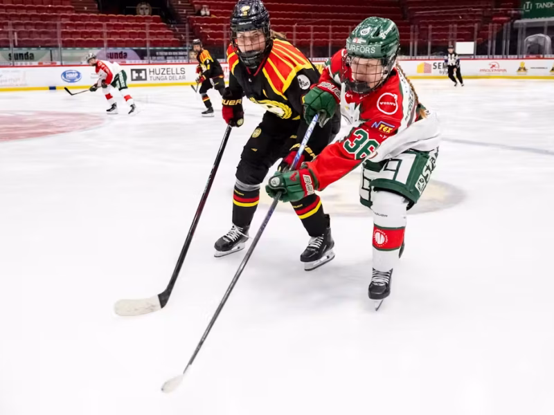 SDHL 2026 Offseason Recap: Part One
